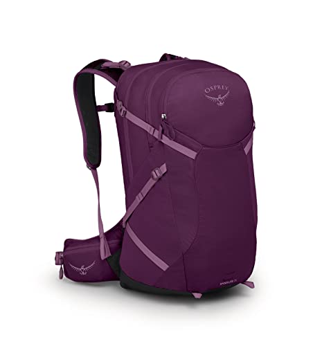 Aubergine Purple