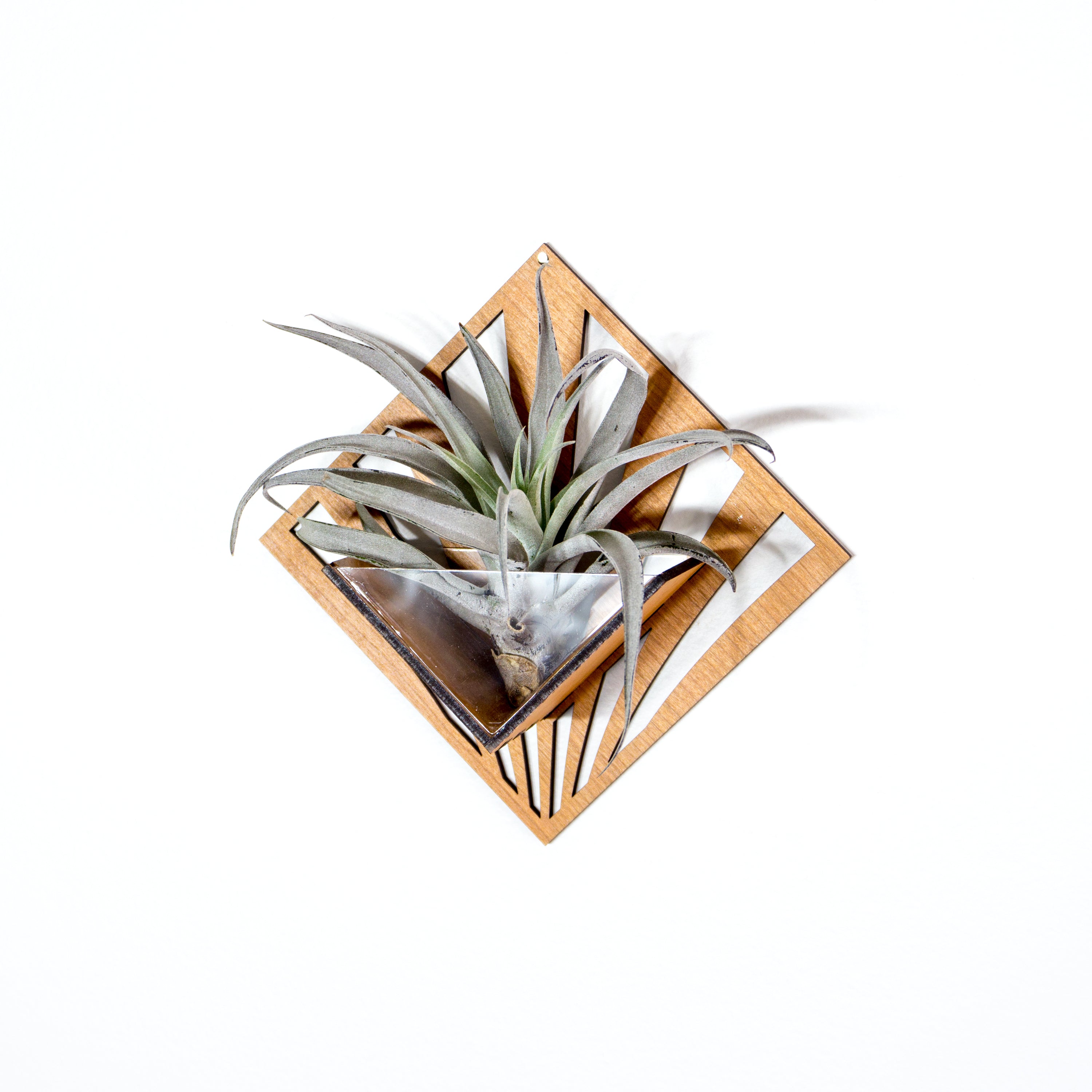 Handmade Wooden Quadrate Wall Planter Set of 2 - Air Plant Holder & Mounted Hanger Display for Tillandsia | Rustic Home Decor, Unique Plant Lover Gift Idea for Living Room, Bedroom or Office Decor