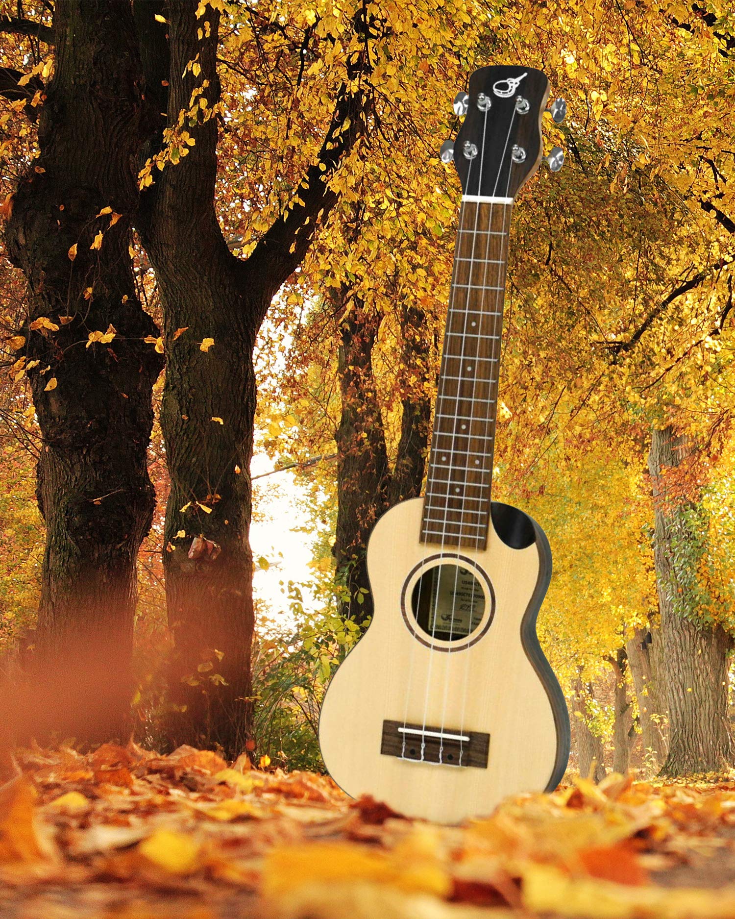 Solid Sitka Travel Ukulele - Premium US490CTE Soprano-Size Ukulele for Travelers | Best Portable Musical Instrument for Road Trips & Camping | Includes Durable Travel Case - Perfect for Beginners, Beach Vacations & Outdoor Adventures