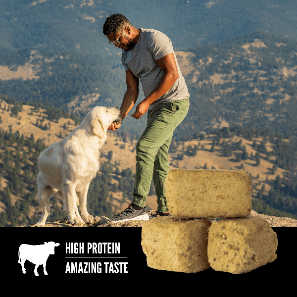 Orijen Regional Red Freeze-Dried Dog Treats - High Protein Grain-Free Natural Dog Food Topper - Perfect for Training, Rewards & Outdoor Adventures