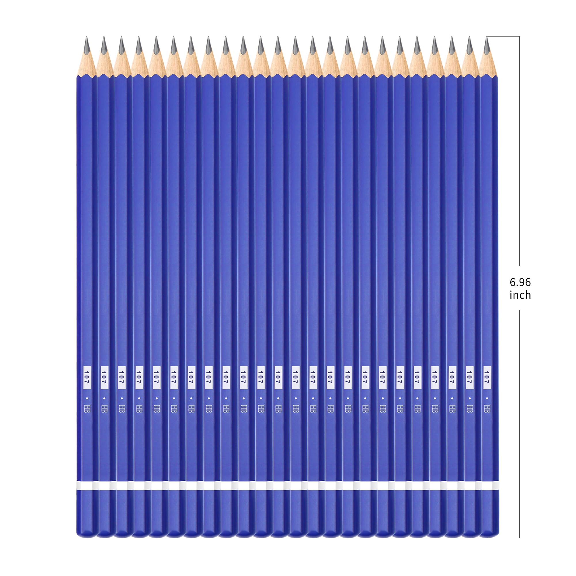 XDT#HB Drawing Pencils 24-Piece Set - Professional Art Graphite Sketching & Shading Supplies for Kids, Beginners, Students & Artists - Perfect for Sketching, Shading, Drawing & Art Projects