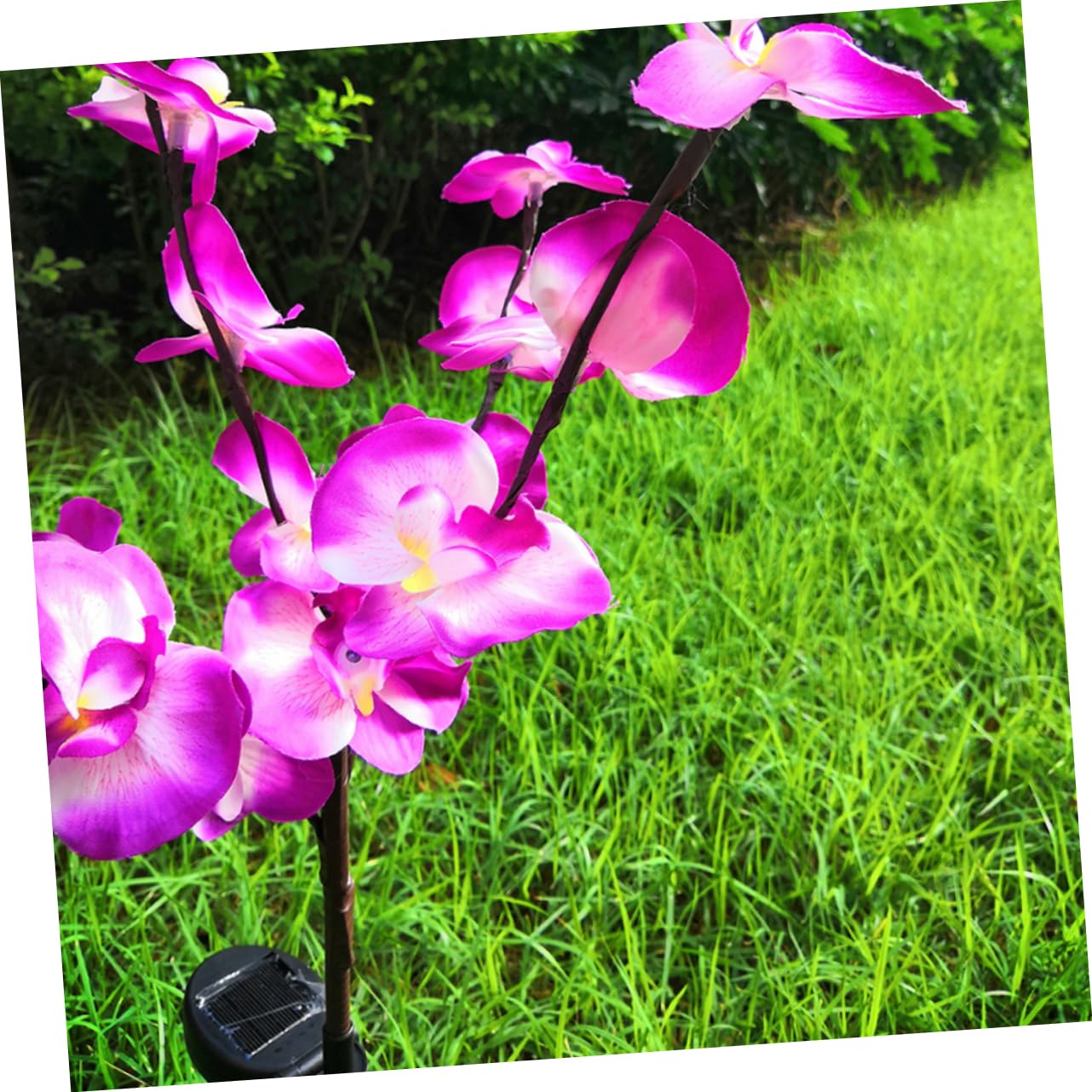 6 Pack Solar Flower Lights - Orchid Shaped Outdoor Garden Lights with Ground Stakes, Waterproof Solar Powered LED Landscape Lighting for Yard, Pathway, Patio Decor