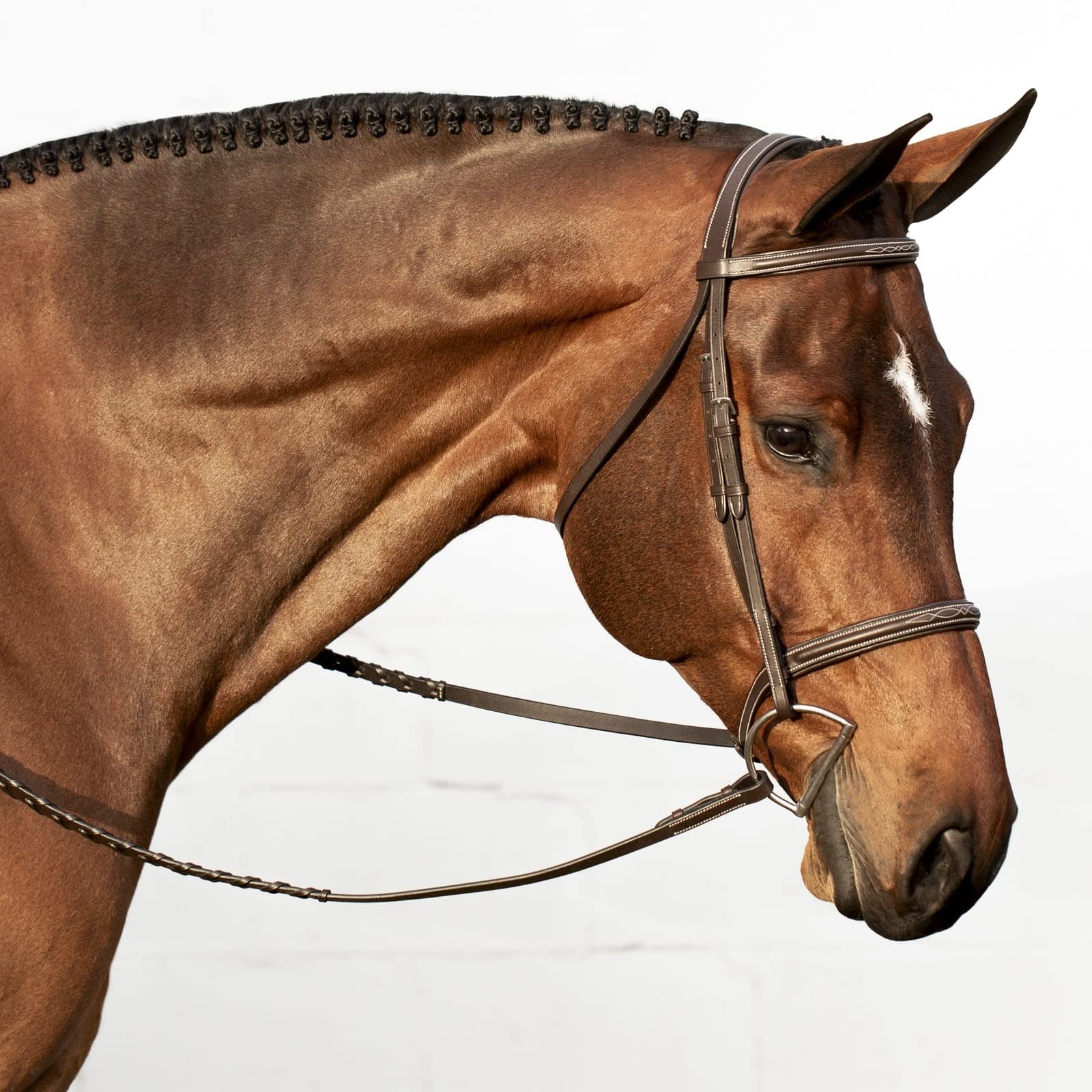 Equinavia Saga Adjustable Padded Hunter Bridle with Fancy Stitching - Premium Leather Horse Bridle with Reins for English Riding, Show Jumping & Dressage