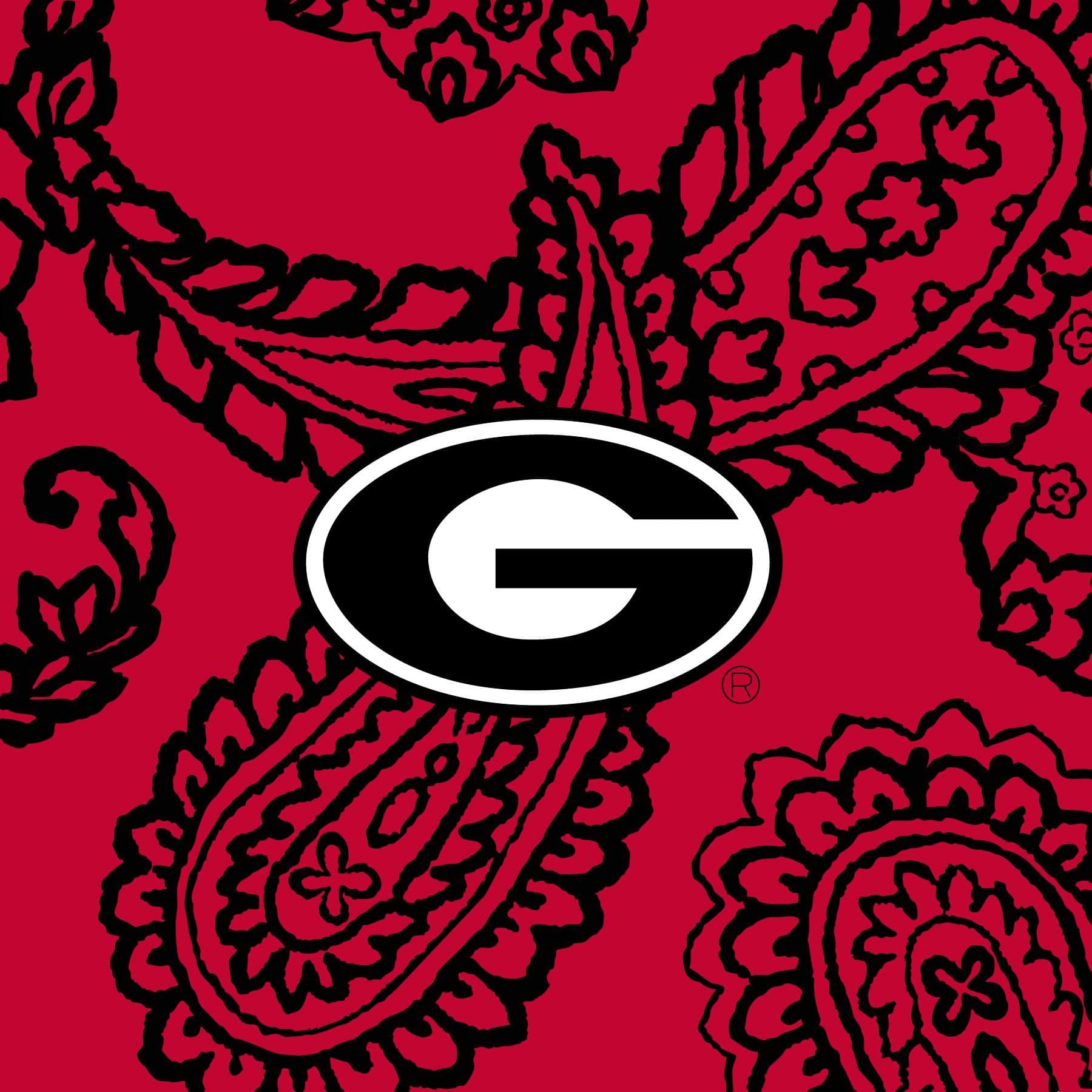 Soft & Cozy Collegiate Plush XL Throw Blanket - Extra Large Fleece Blanket for Bed, Couch & Dorm Room - Perfect for College Gifts, Game Day & Winter Snuggling