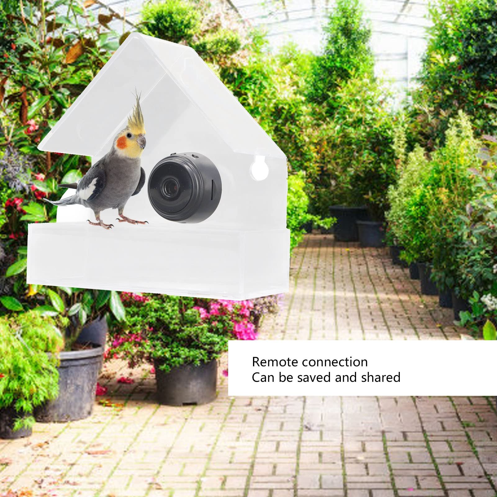Smart Bird Feeder Camera with 720p HD Auto Capture, 170° Wide Angle & Night Vision - Wireless Outdoor Bird House Camera for Bird Watching - Perfect Gift for Nature Lovers & Backyard Wildlife Enthusiasts