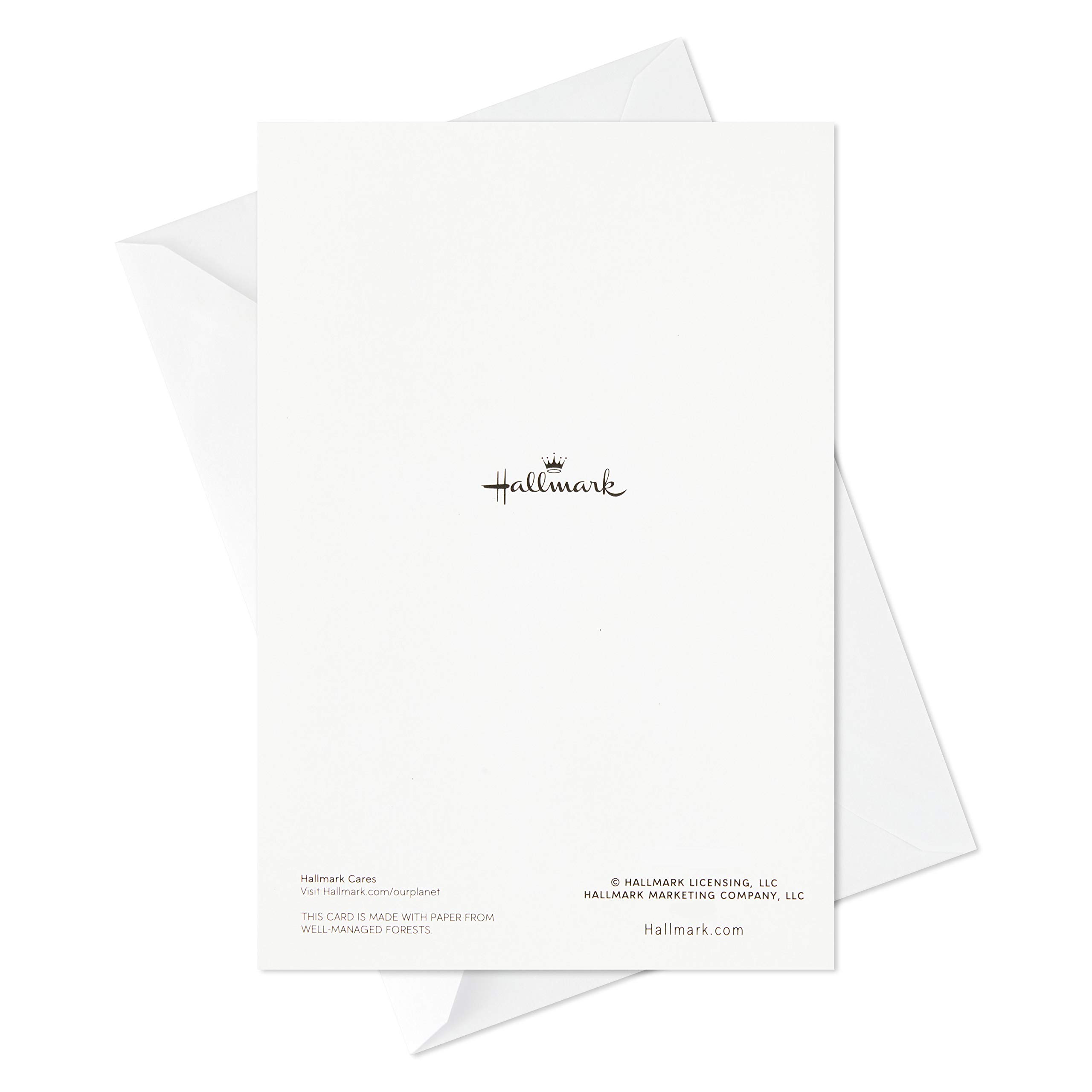 Hallmark All Occasion Greeting Cards Set - 12 Assorted Thank You, Thinking of You & Sympathy Cards with Organizer Box | Perfect for Birthdays, Anniversaries & Condolences | Premium Quality Refill Pack for Card Organizers