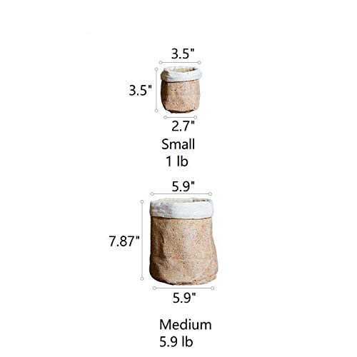 Rustic Reach Paper Bag Style Concrete Garden Pot - Decorative Planters for Indoor & Outdoor Plants, Succulents, Flowers - Perfect for Patio, Balcony, and Home Decor