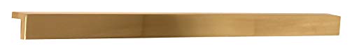 Unlacquered Brass