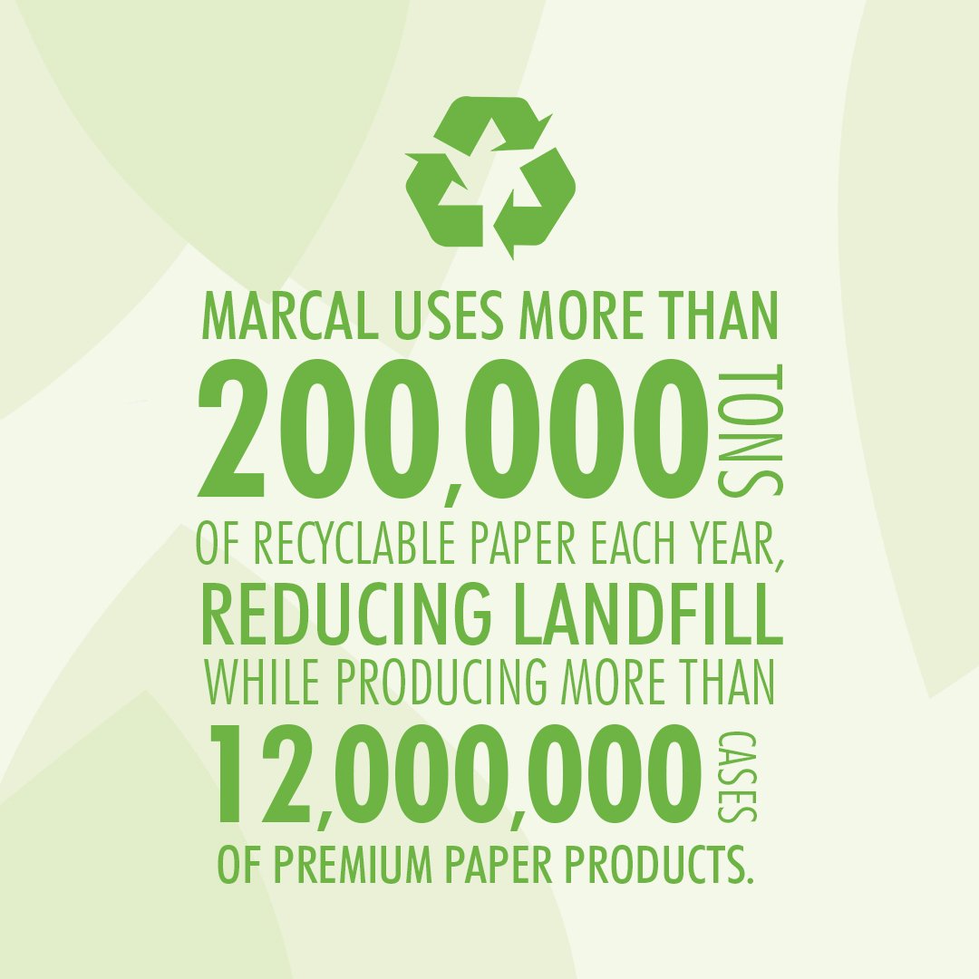 Marcal Green Seal Certified 100% Recycled Paper Towels - 2 Ply, 140 Sheets Per Roll, 12 Rolls Per Case (U-Size-It Sheets) | Eco-Friendly Kitchen & Cleaning Supplies for Home, Office & Commercial Use