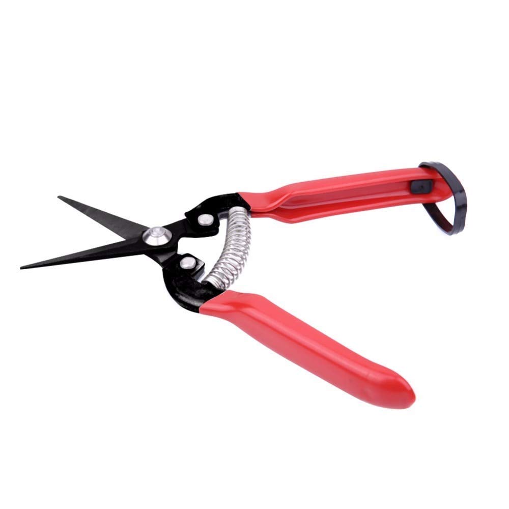 Premium High Carbon Steel Pruning Shears - Professional Garden Scissors for Fruit Trees, Bonsai, Grafting & Shaping | Heavy Duty Gardening Secateurs & Clippers for Landscaping, Vineyard & Home Garden Use