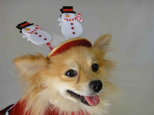 Festive Christmas Snowman Hat for Cats & Dogs - Cute Holiday Pet Costume for Xmas Photos & Parties
