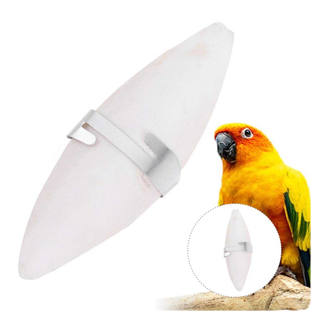 POPETPOP 12pcs Natural Cuttlebone Chew Toys for Birds, Parakeets, Guinea Pigs & Hamsters - Mineral-Rich Calcium Supplement for Beak Health - Perfect for Cage Accessories & Small Pet Dental Care