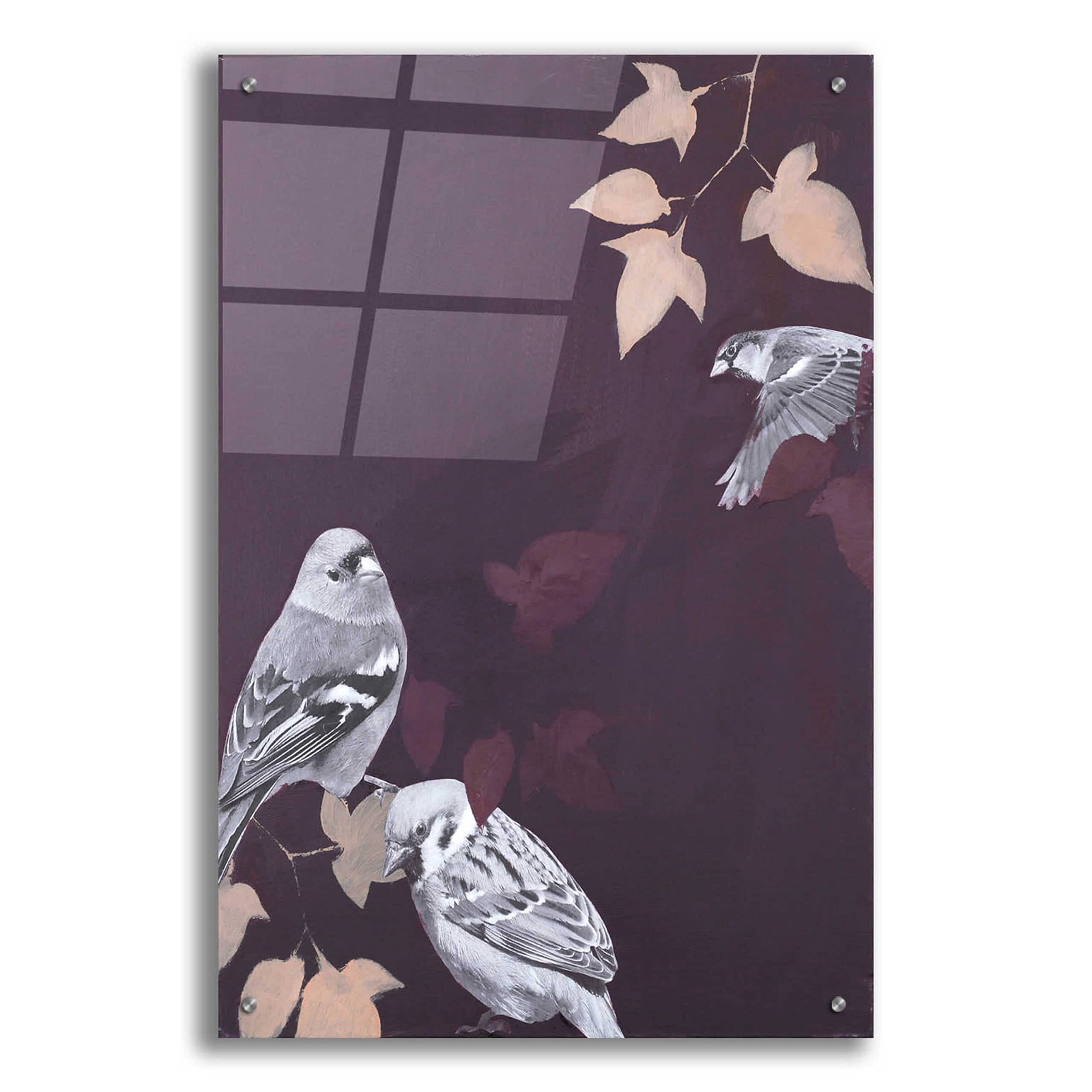Epic Art 'Bird 1' by Design Fabrikken - 24x36 Inch Acrylic Glass Wall Decor - Modern Home & Office Wall Art for Living Room, Bedroom, or Office Decoration