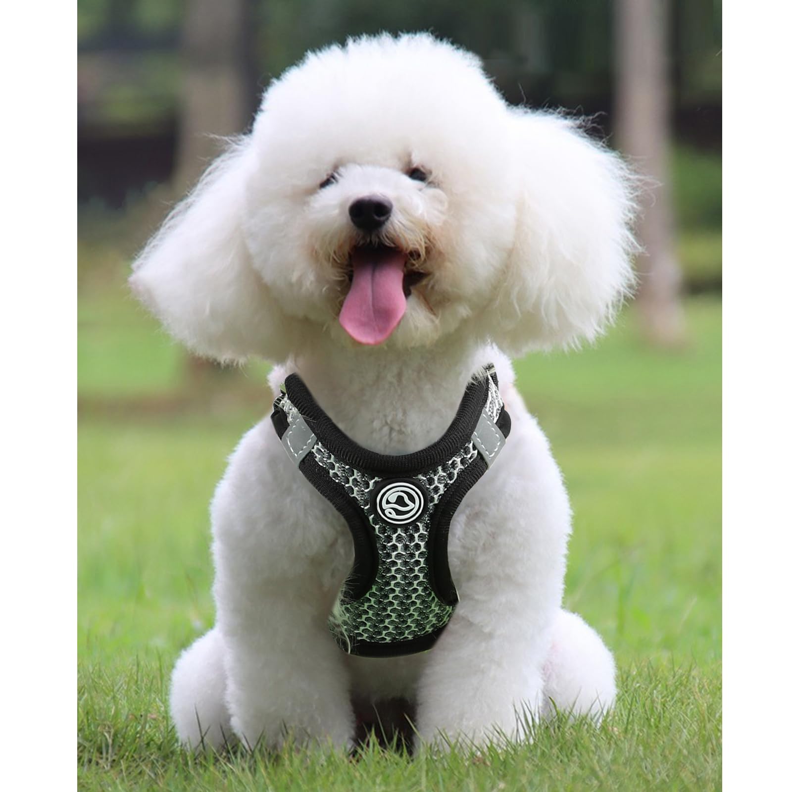 Premium Cat & Small Dog Harness - Adjustable XS Pet Harness for Puppies, Chihuahuas & Tiny Breeds - Comfortable Escape-Proof Design (Black, X-Small) - Perfect for Walking, Hiking & Outdoor Adventures