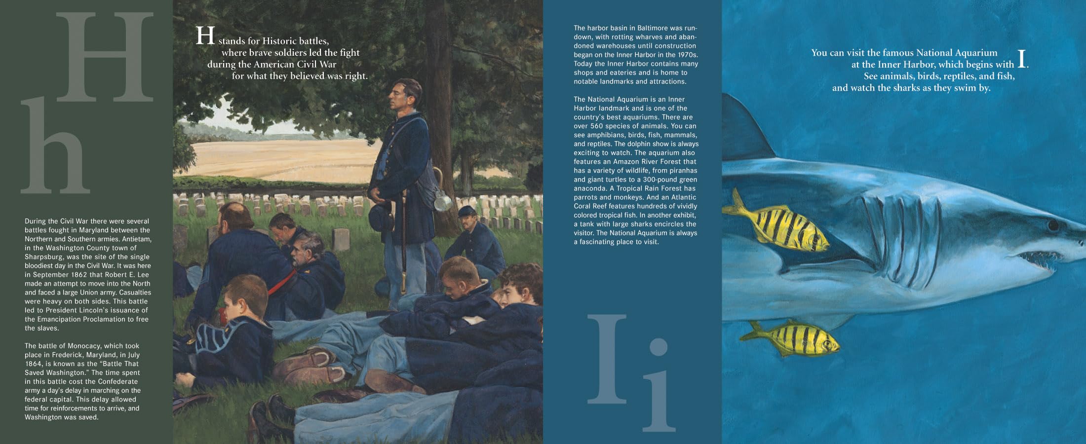B is for Blue Crab: A Maryland Alphabet Book - Discover America State by State | Educational Kids Book About Maryland Wildlife & Coastal Life | Perfect for Classroom Learning & Travel Gifts