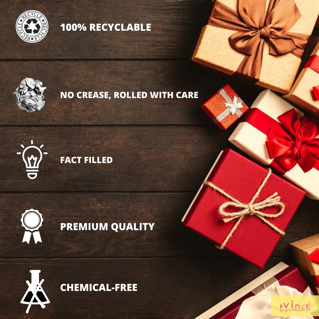eVincE Premium Recyclable Gift Wrapping Paper - 6 Pack Large 28