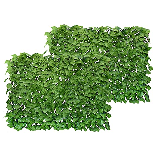2-MINT