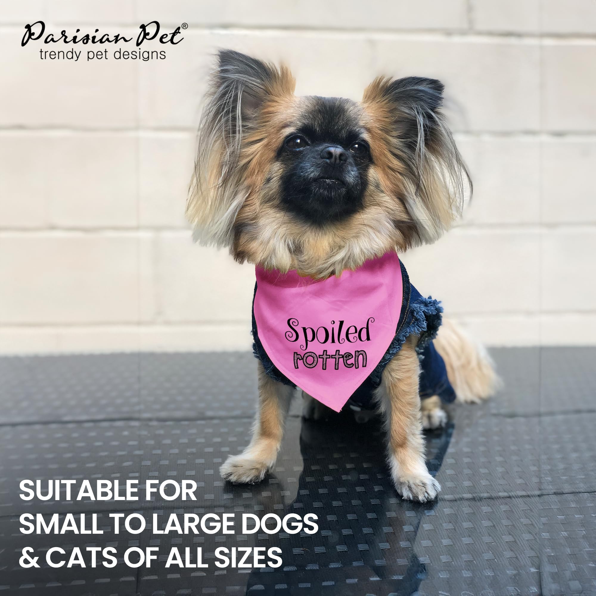 Adjustable 'Spoiled Rotten' Printed Dog Bandana - Parisian Style Pet Scarf for Small Dogs & Cats - Pink Triangle Bib Handkerchief for Pets - Perfect for Birthdays, Photos & Daily Fashion