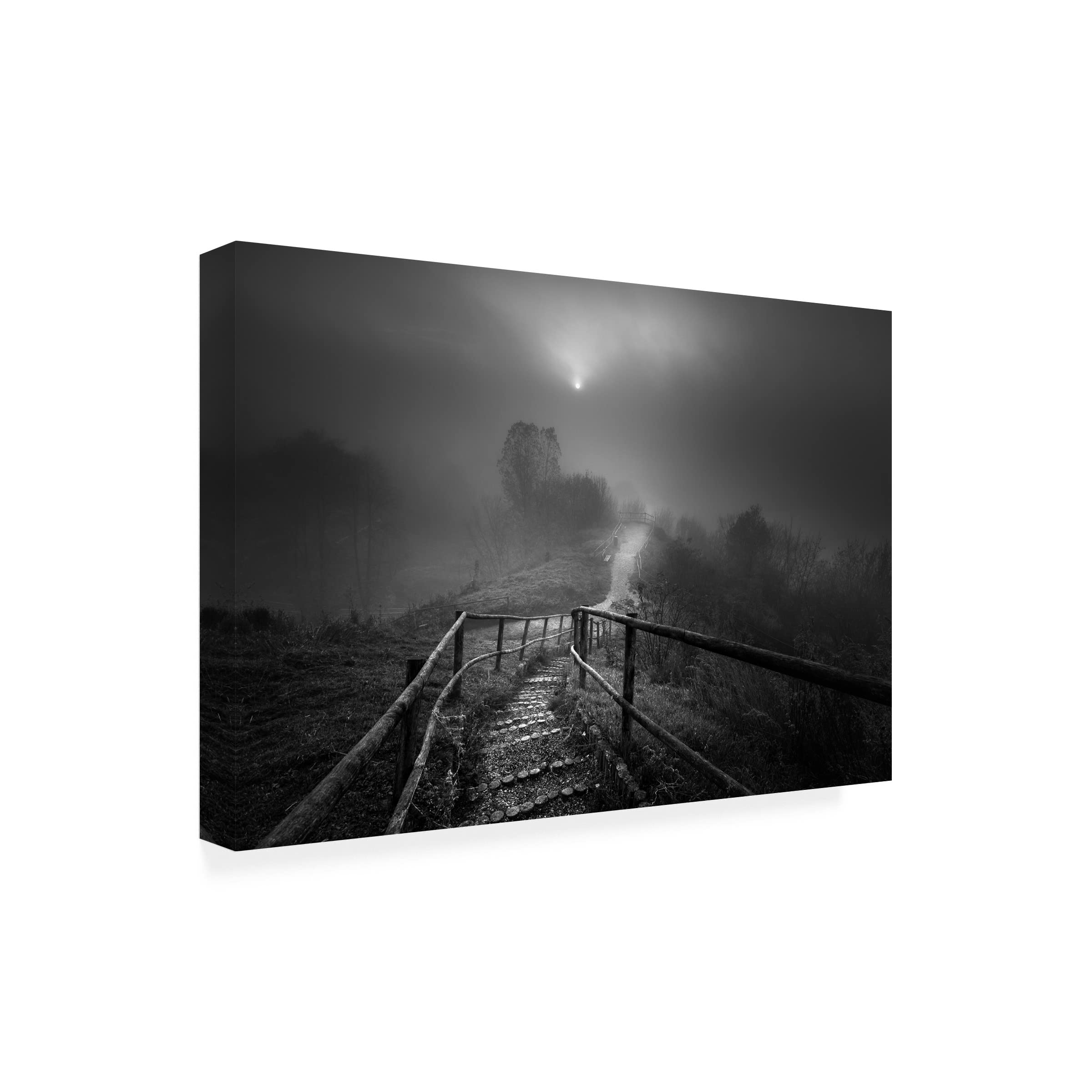 Trademark Fine Art 'Down The Stairs' Canvas Wall Art Print by Marcin Orszulak - Modern Home Decor for Living Room, Bedroom & Office