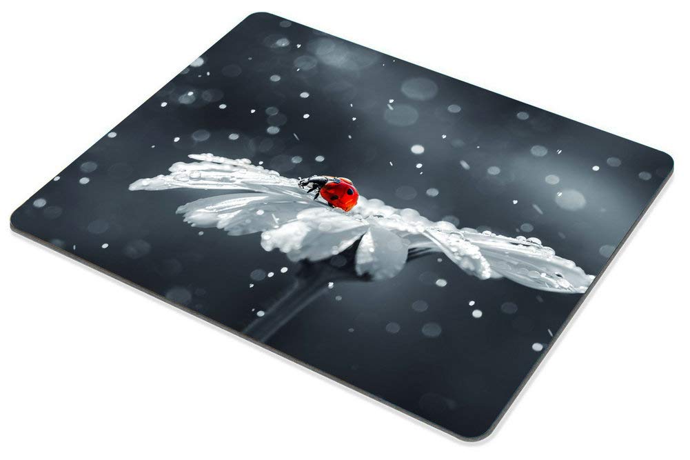 Custom Smooffly Office Decor Mouse Pad - Ladybug on Daisy Flower Design, Non-Slip Rubber Gaming Mouse Pad for Computer & Laptop | Perfect for Work, Gaming & Home Office Setup
