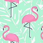 Flamingo Teal