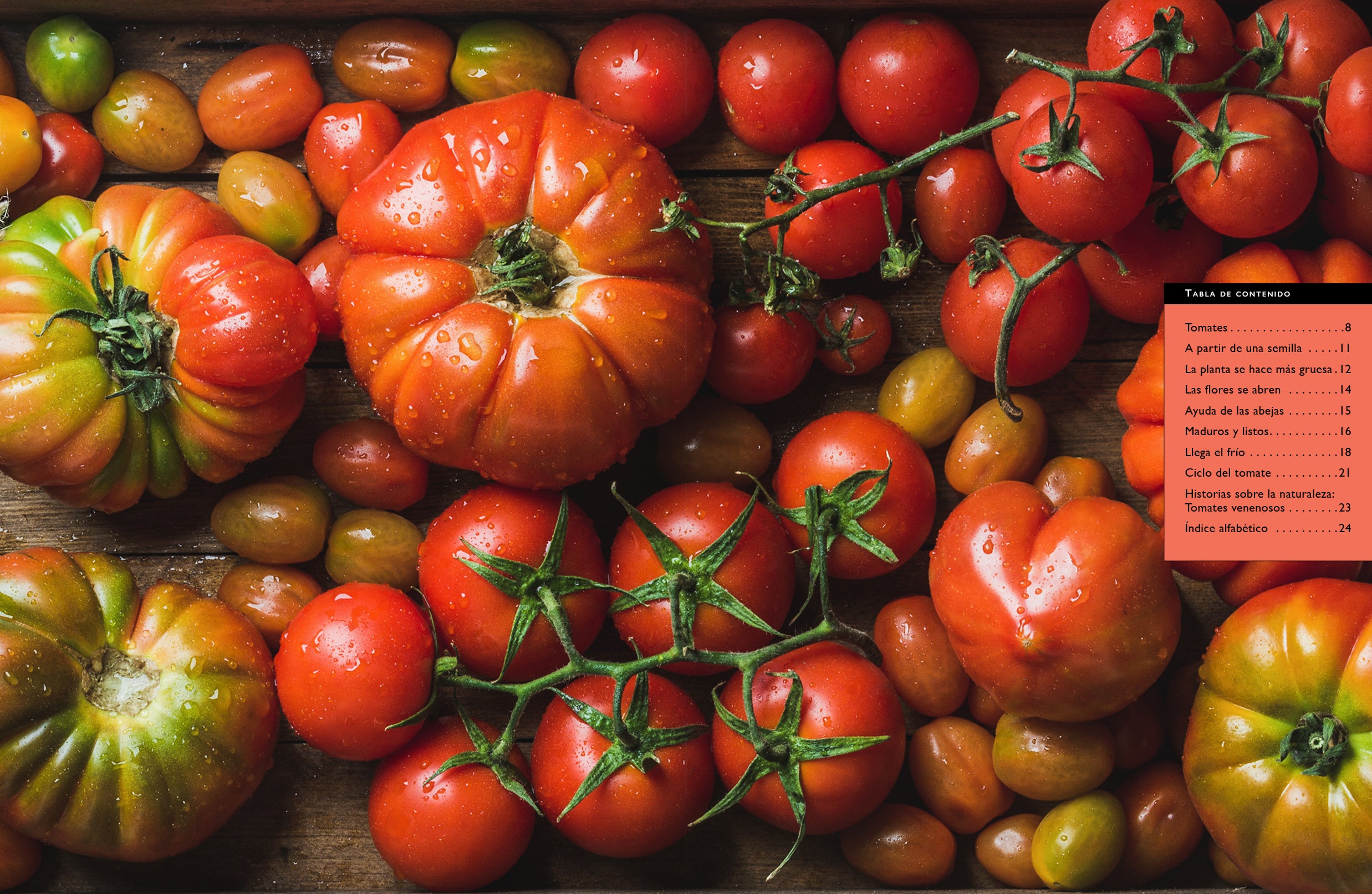 Fresh Organic Tomatoes for Sale - Premium Quality, Non-GMO, Farm to Table - Perfect for Salads, Sauces, and Healthy Cooking