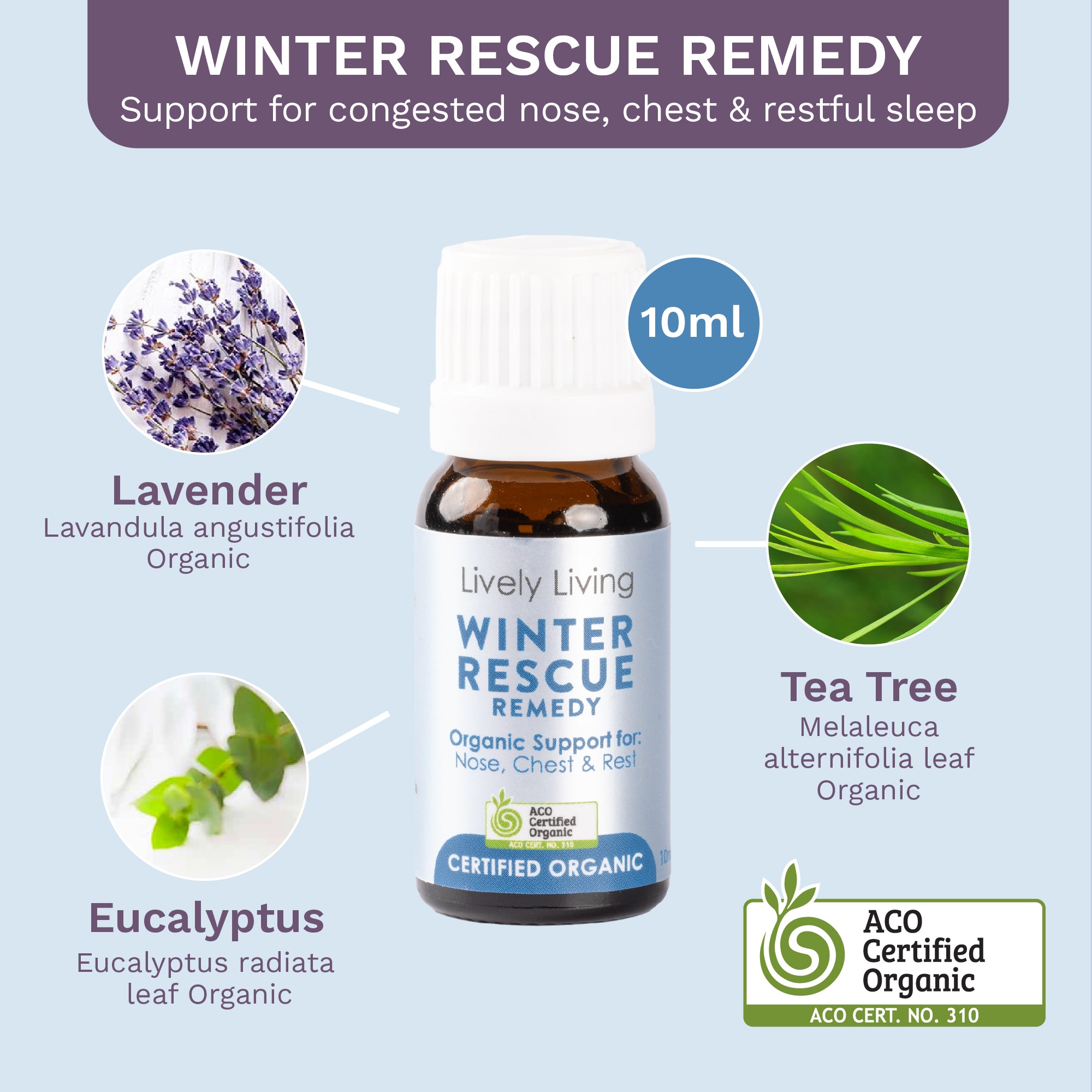 Organic Essential Oil Trio Set - Lavender, Peppermint & Eucalyptus - Aromatherapy Diffuser Blends for Relaxation, Stress Relief & Better Sleep