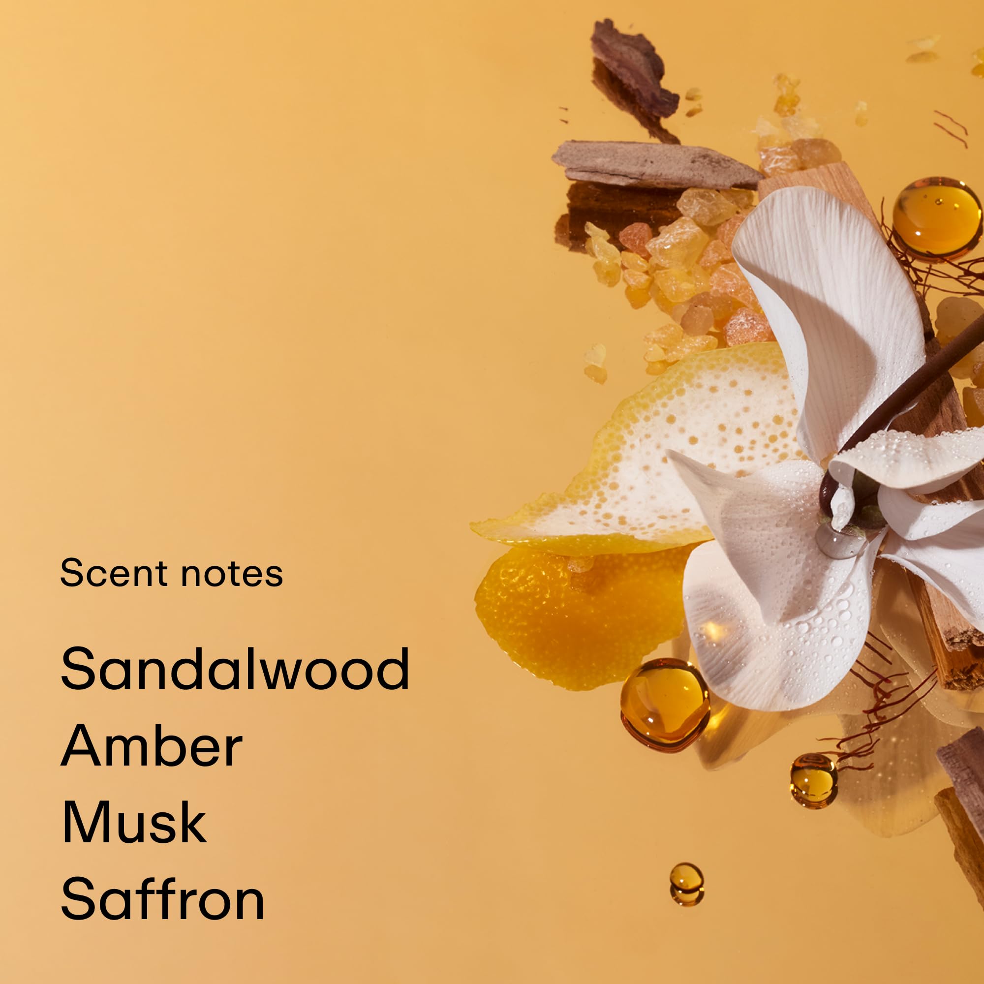 PHLUR Somebody Wood Eau de Parfum Travel Size (9.5mL) - Unisex Spicy Woody Perfume with Bergamot, Lemon, Cedarwood, Sandalwood, Musk & Vanilla - Perfect for Daily Wear, Date Nights & Travel