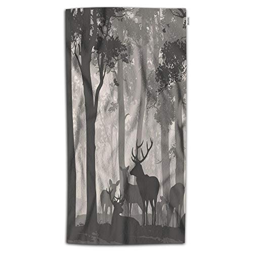 Deer