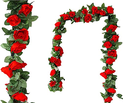 16 Heads Red