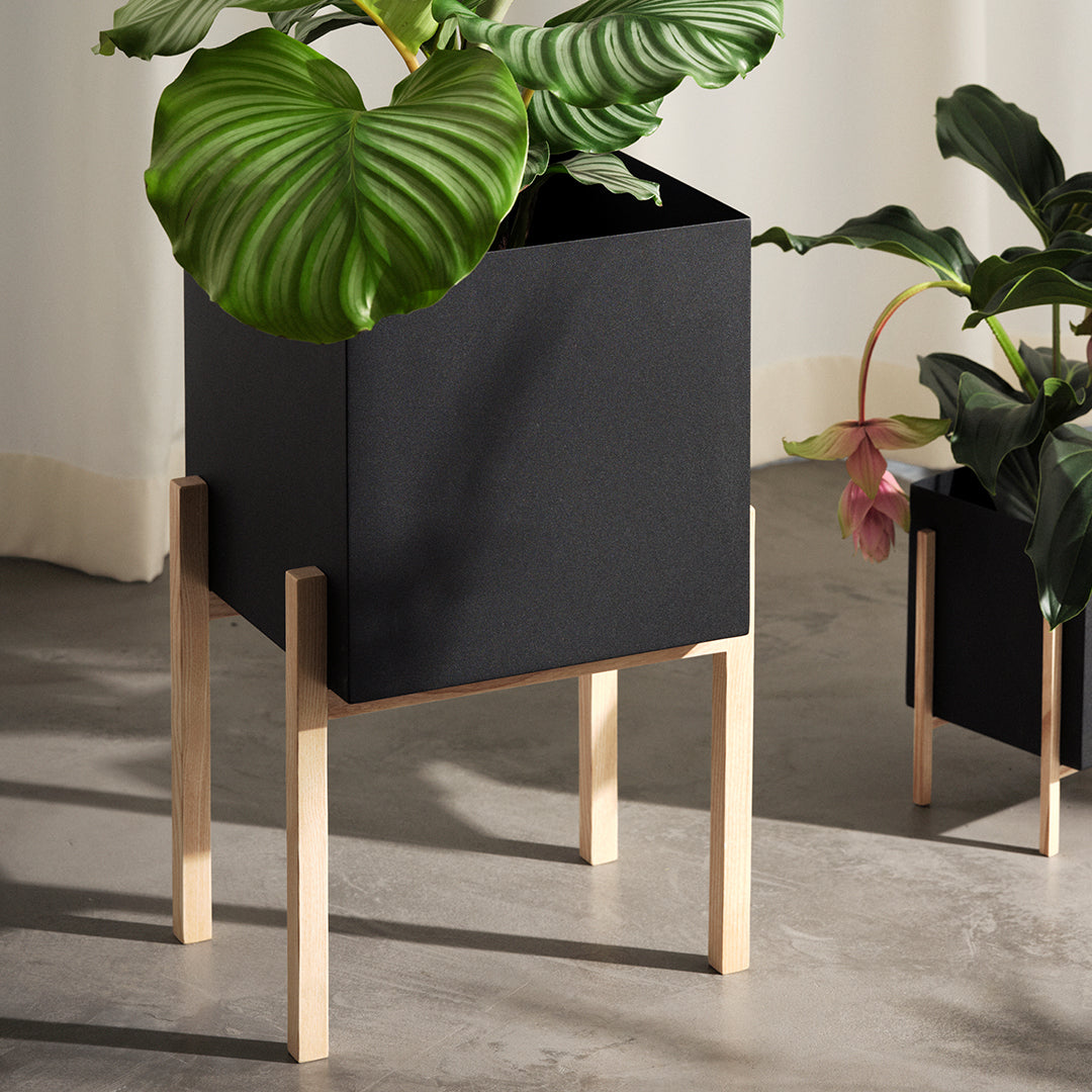 Botanic Pedestal Pot - Elegant Indoor Plant Stand for Home Decor, Living Room, Office & Garden - Perfect for Succulents, Flowers & Houseplants
