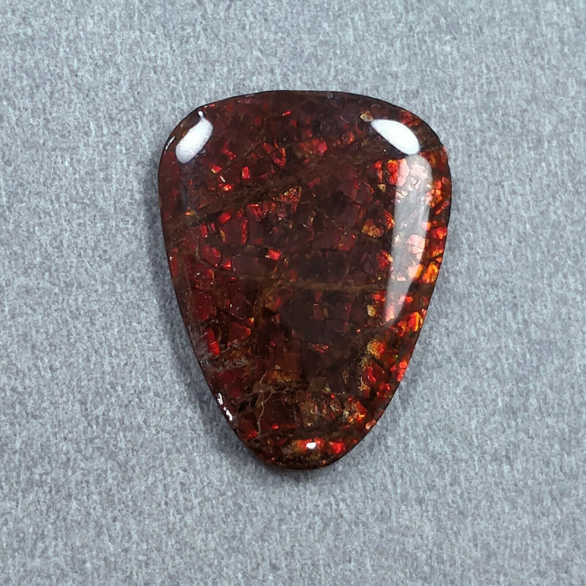 Natural AMMOLITE Gemstone Cabochon - Bi-Color Fossilized Shell Jewelry Making Stone (14x20mm or 24x19mm) for Pendants, Rings & Unique Handmade Jewelry Designs