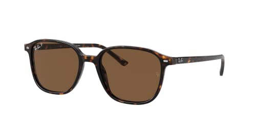 Tortoise/Polarized B-15 Brown