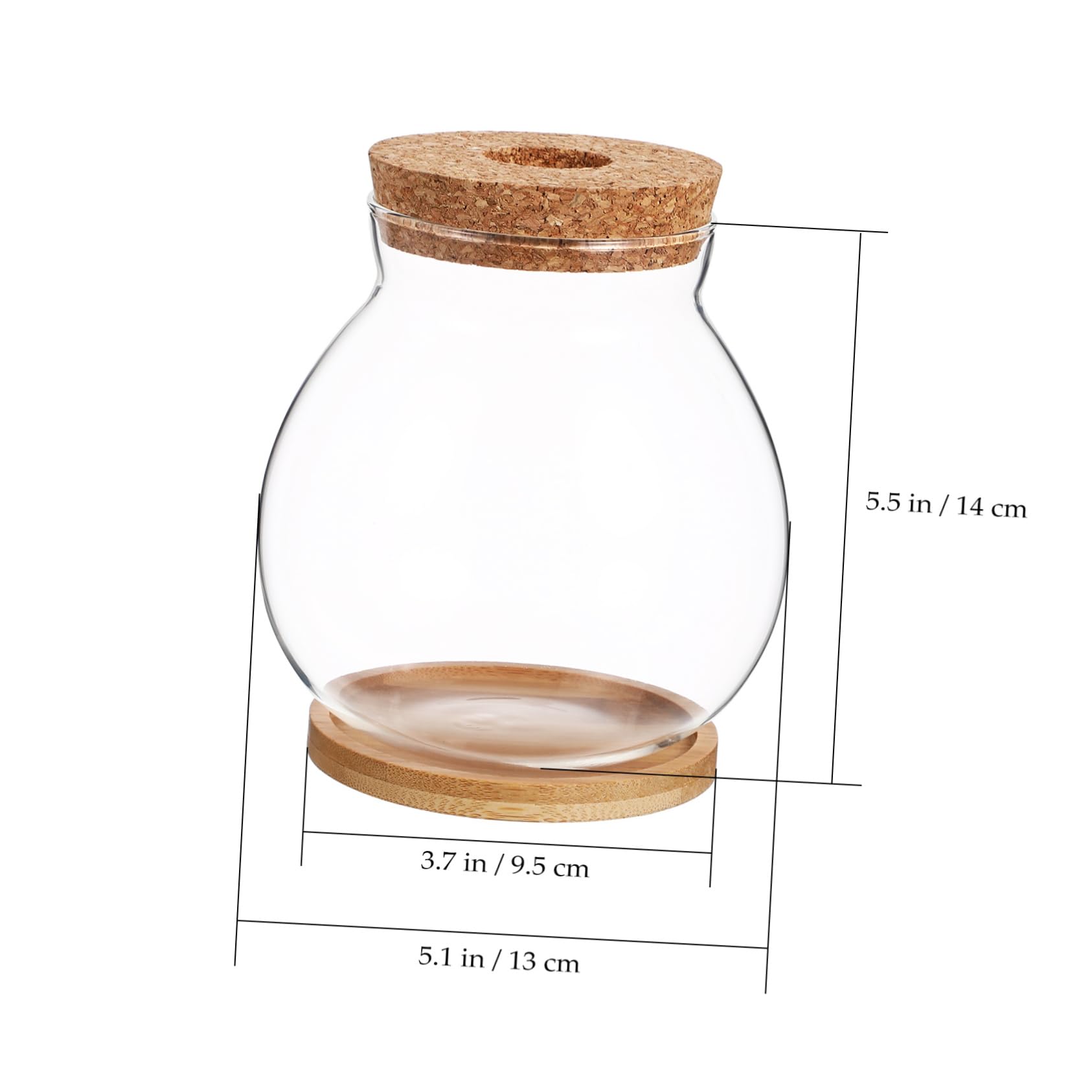 Glass Terrarium with Lid - Goldfish Bowl, Betta Fish Tank, Hydroponic Plant Vase for Office Desk Decor | Perfect for Home Aquarium, Indoor Gardening & Zen Bamboo Arrangements