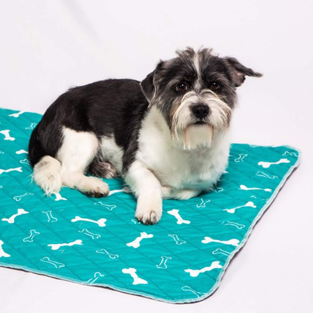 Balacoo Extra Large Washable Dog Training Pads | Super Absorbent Puppy Pee Pads for Small & Big Dogs | Reusable Pet Diaper Liners for Crate, Housebreaking & Travel Use