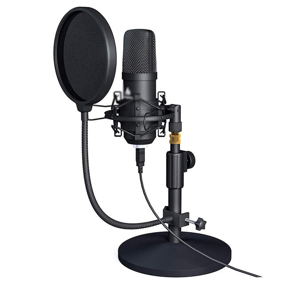 Professional USB Microphone Kit - Studio Condenser Mic for Podcasting, Streaming, Gaming & Computer Recording | Perfect for Home Studio, Twitch, YouTube & Voiceovers