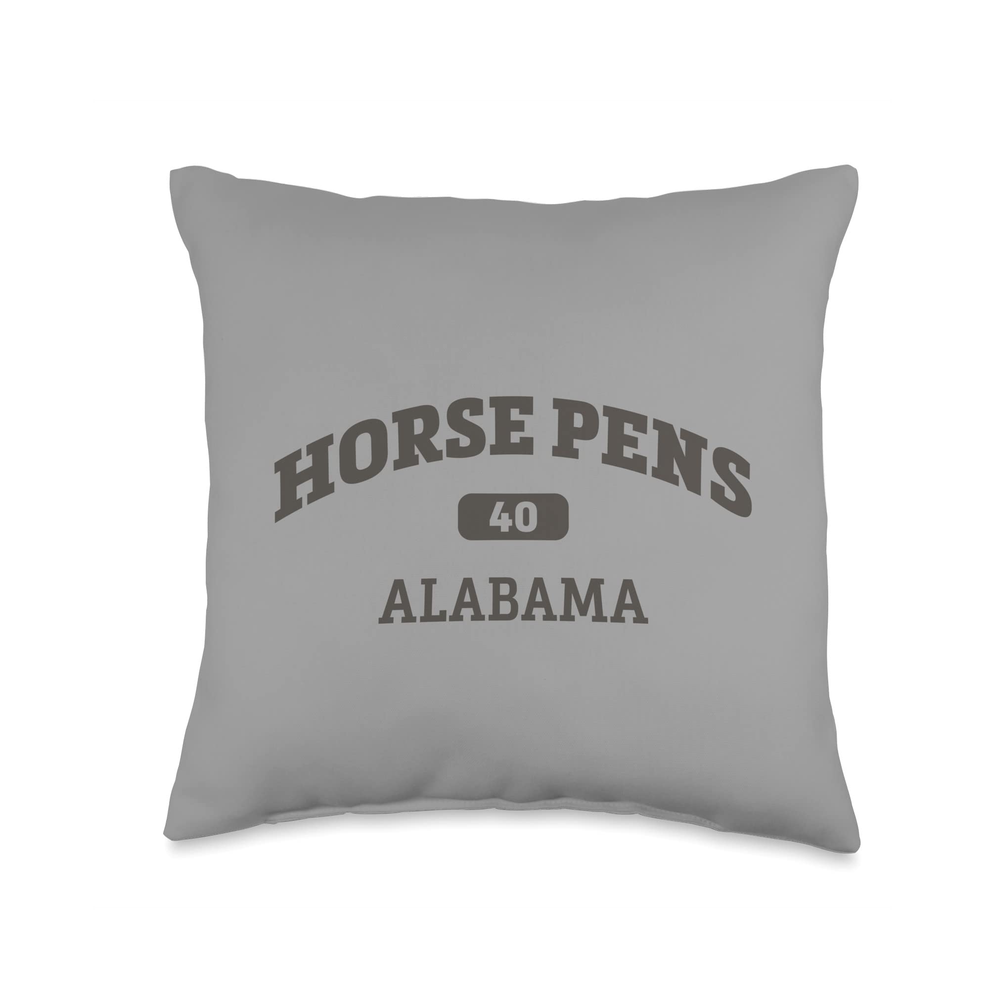 College Style Rock Climbing Area Design Throw Pillow 16x16 Inch - Horse Pens 40 Inspired Multicolor Decorative Pillow for Dorm Room, Living Room & Outdoor Adventure Decor
