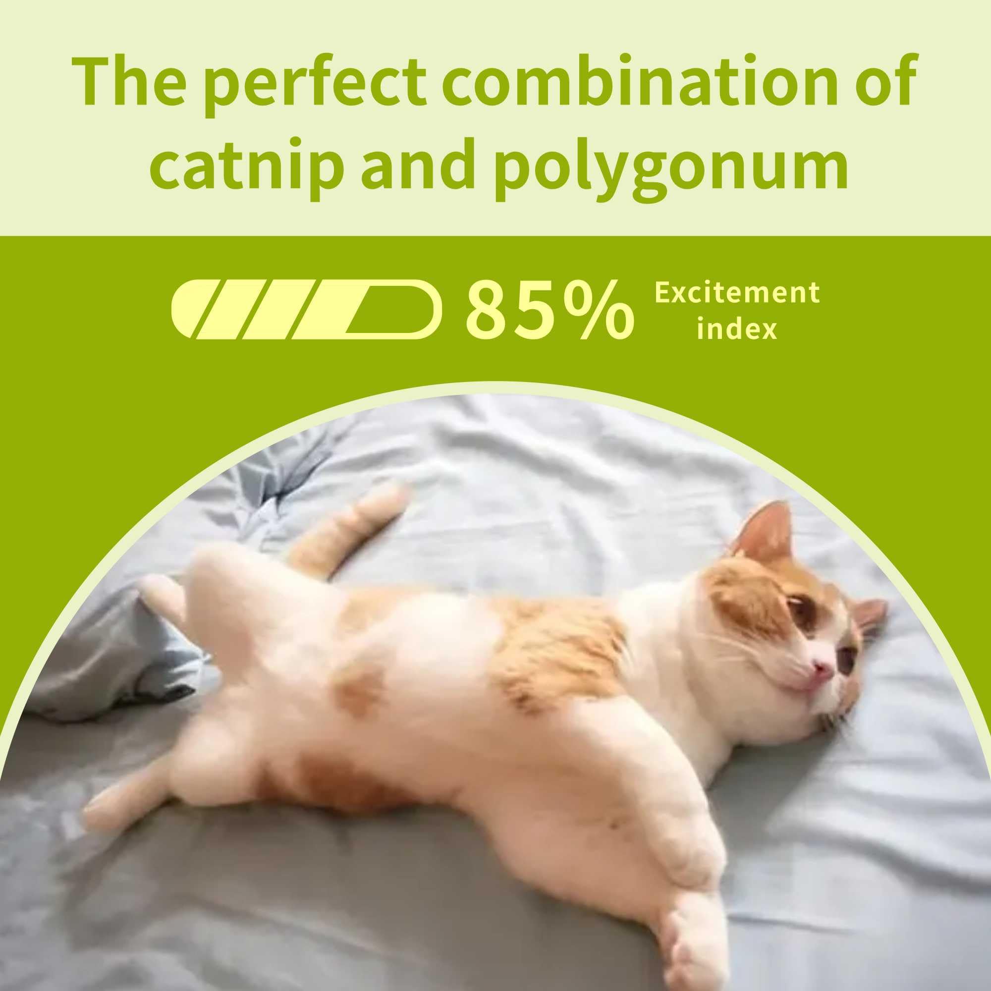 12 Pack Natural Silvervine Cat Chew Sticks - Catnip Dental Treats for Teeth Cleaning, Kitten Teething Toys & Edible Kitty Chew Toys - Perfect for Indoor Cats & Playtime Enrichment
