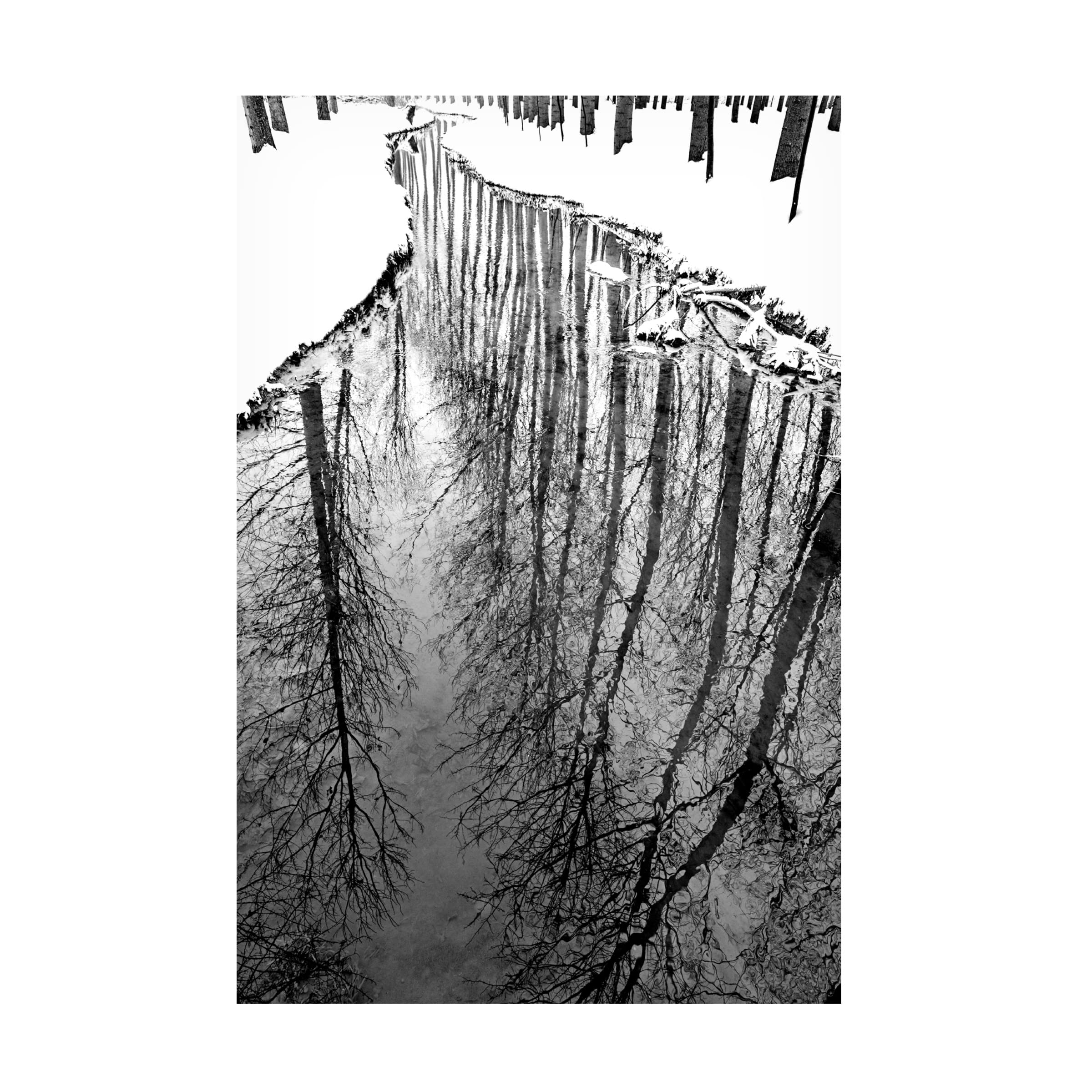Massimo Alloi 'Diving' Canvas Wall Art Print - Modern Ocean Themed Home Decor for Living Room, Bedroom & Office - Trademark Fine Art Collection