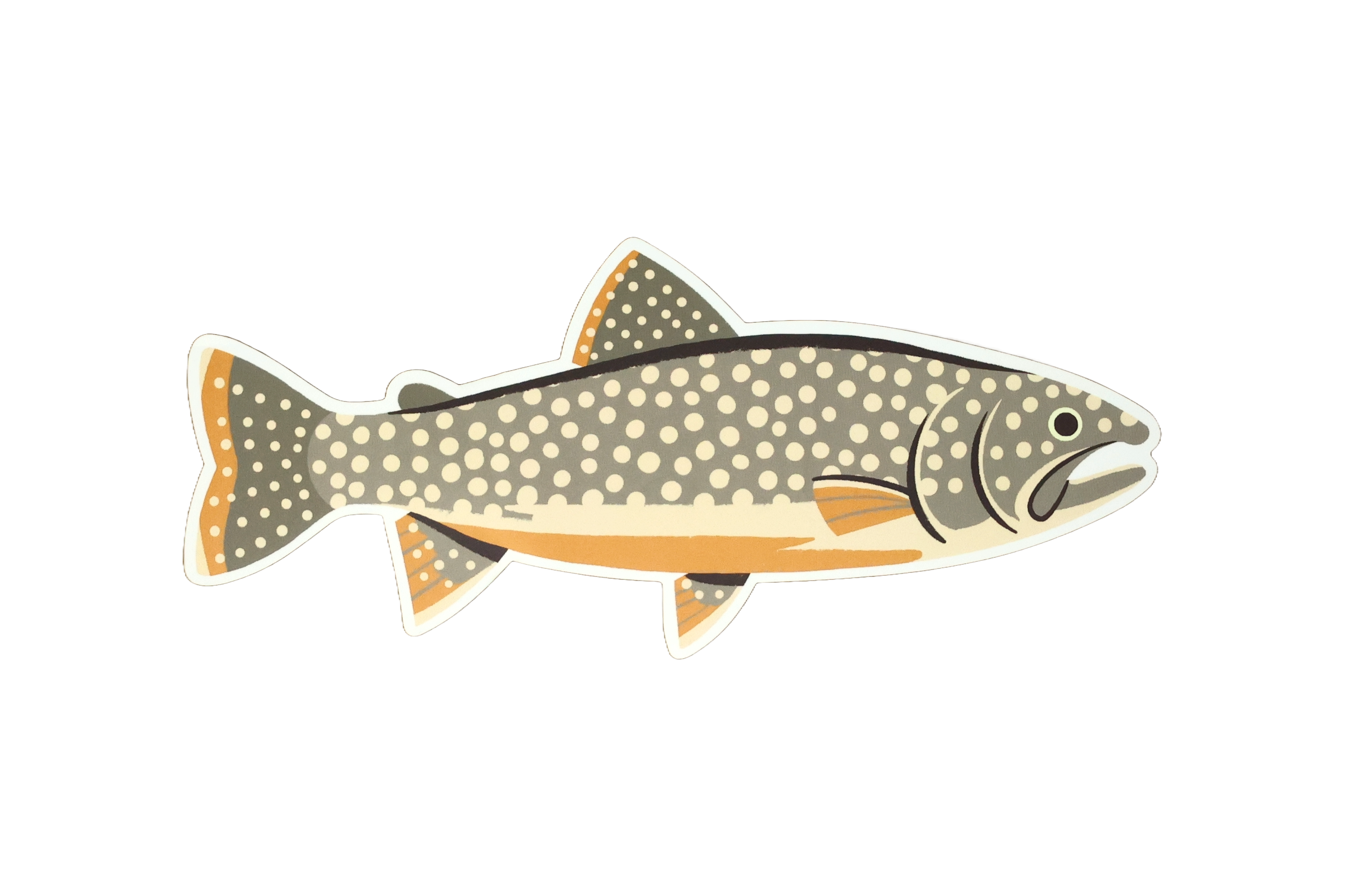 Native Trout Sticker - Waterproof Vinyl Decal for Fishing Gear, Coolers & Outdoor Equipment - Perfect for Anglers & Nature Lovers