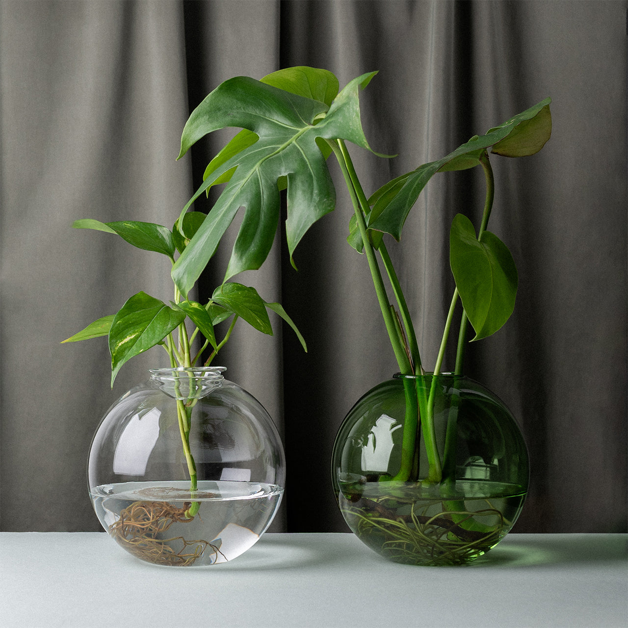 Aqua Planter 18cm - Self Watering Plant Pots with Drainage Holes, Modern Decorative Flower Pots for Indoor Outdoor Plants, Perfect for Home Garden Office Decor