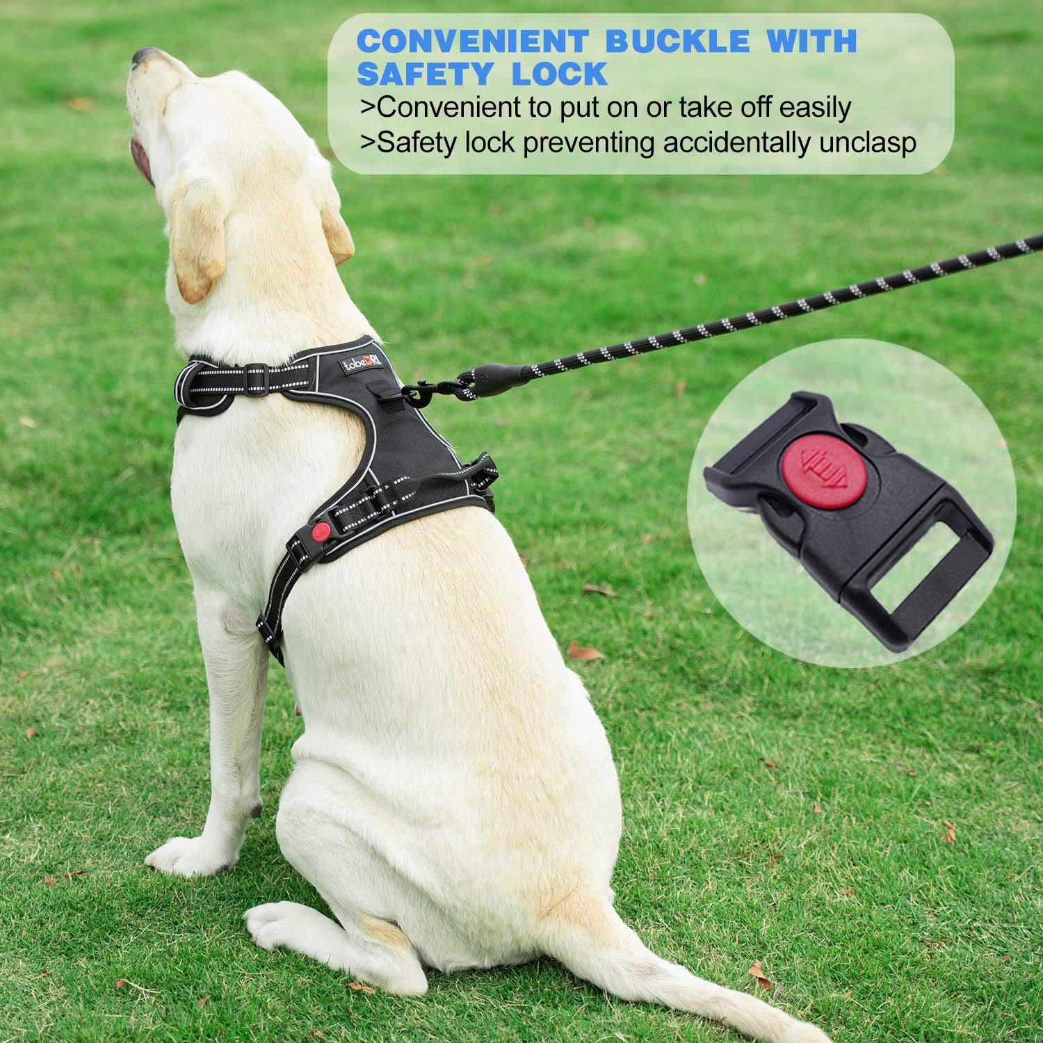 No Pull Dog Harness Adjustable Reflective Oxford - Easy Control Pet Vest for Medium & Large Dogs with Heavy Duty 5ft Leash (XL Size: Neck 21.5