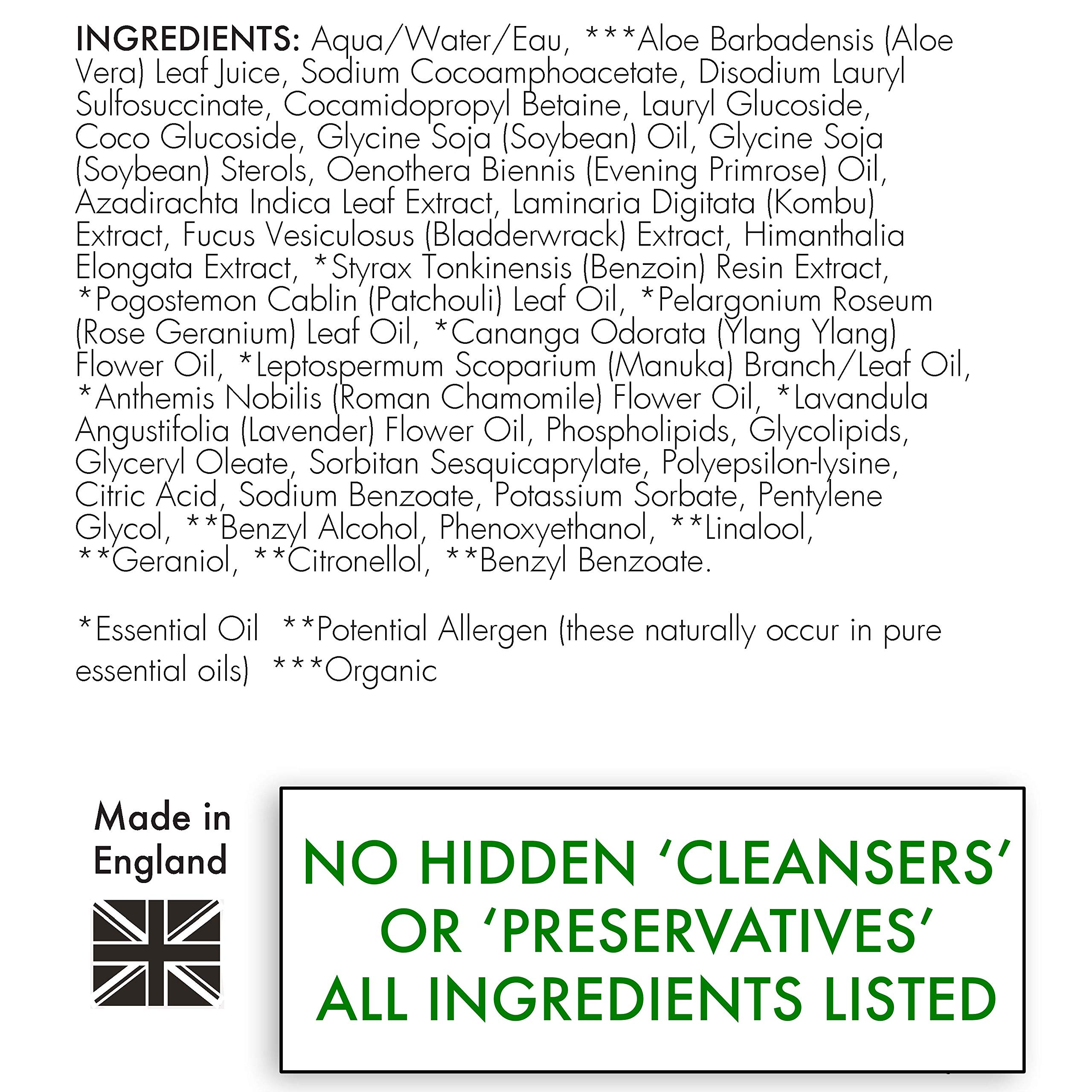 PRO Hydrating Dog Shampoo for Dry & Flaky Skin - Natural Conditioning with Manuka Honey, Lavender & Aloe Vera - UK Made Pet Grooming Product - 10.2 fl oz (Dilutes to 2.6 gal) - Perfect for Sensitive Skin & Allergy Relief Bath Time