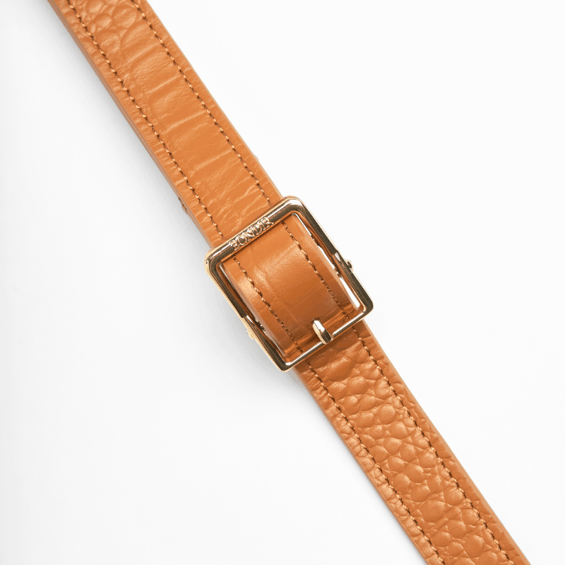 Premium Genuine Amber Leather Dog Leash - Durable & Stylish for Small Medium Large Dogs - Perfect for Daily Walks, Training & Outdoor Adventures