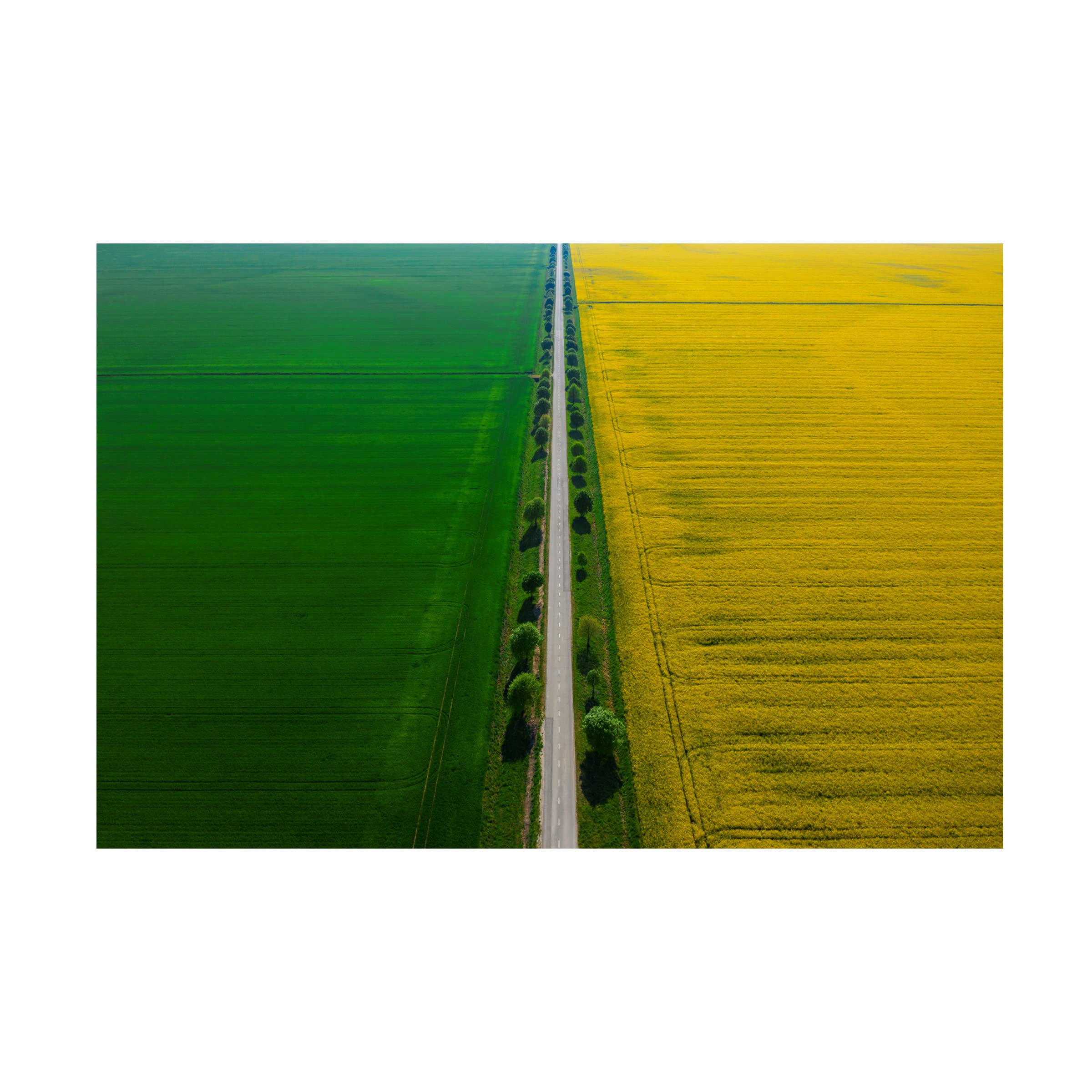 Trademark Fine Art 'Prekmurje' Canvas Wall Art Print by Jure Kravanja - Landscape Painting for Living Room, Bedroom & Office Decor