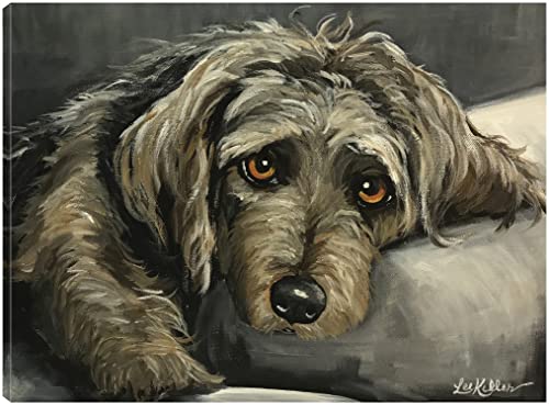 Cairn Terrier