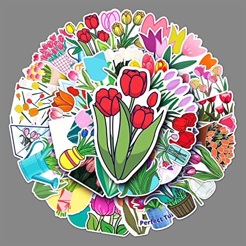 Tulip