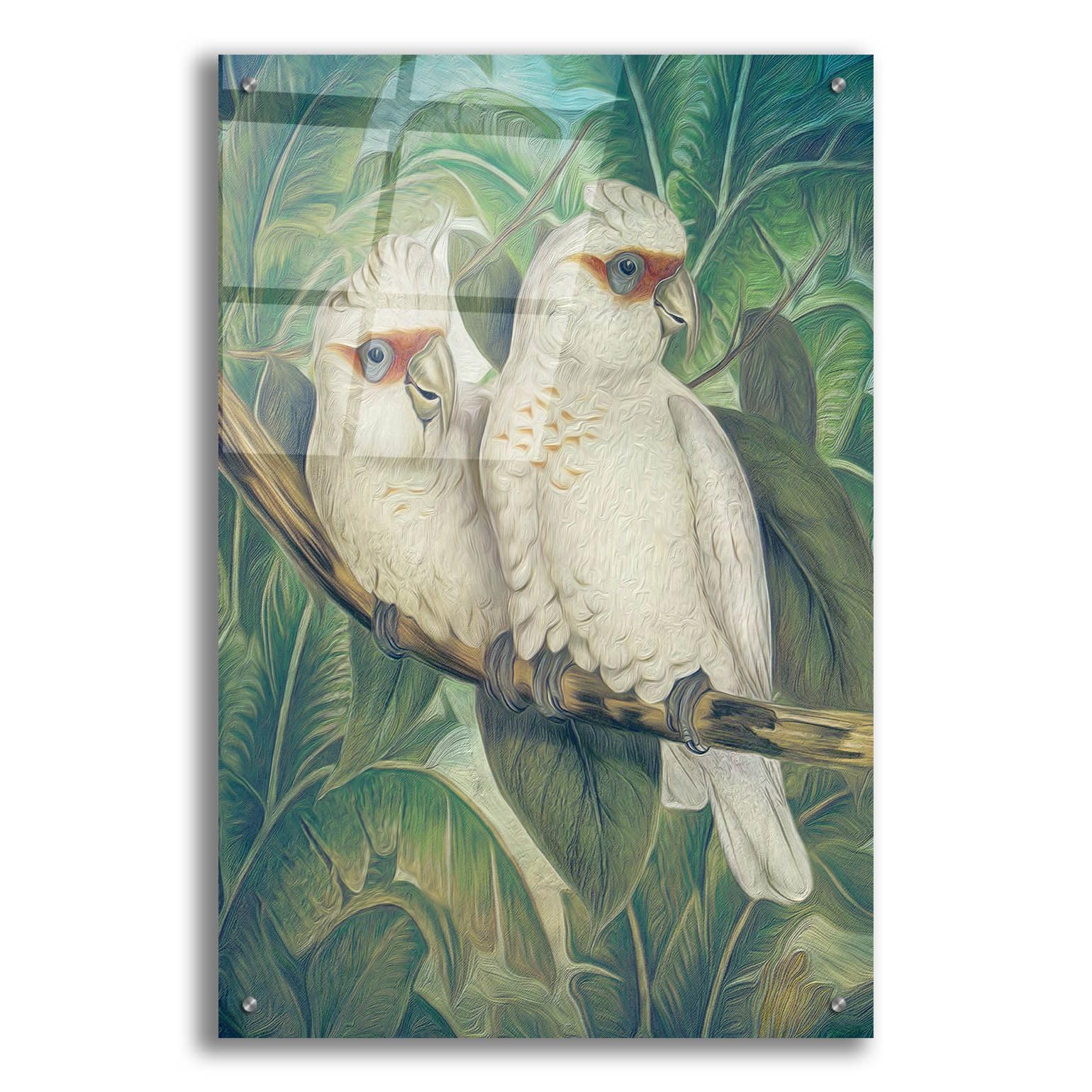 Steve Hunziker 'Painted Plumage Three' Acrylic Glass Wall Art - 24x36 Inches Modern Bird Painting for Living Room, Bedroom & Office Decor