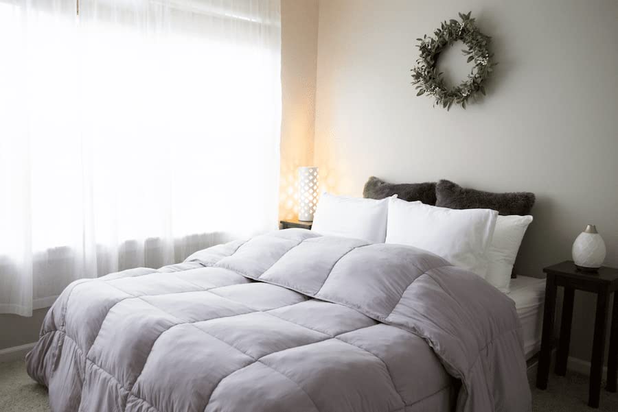 Pillowtex 3-Piece All Season Comforter Set with Matching Pillow Shams - Twin/Twin XL Size Soft Cream Bedding for Cozy Sleep & Guest Room Decor