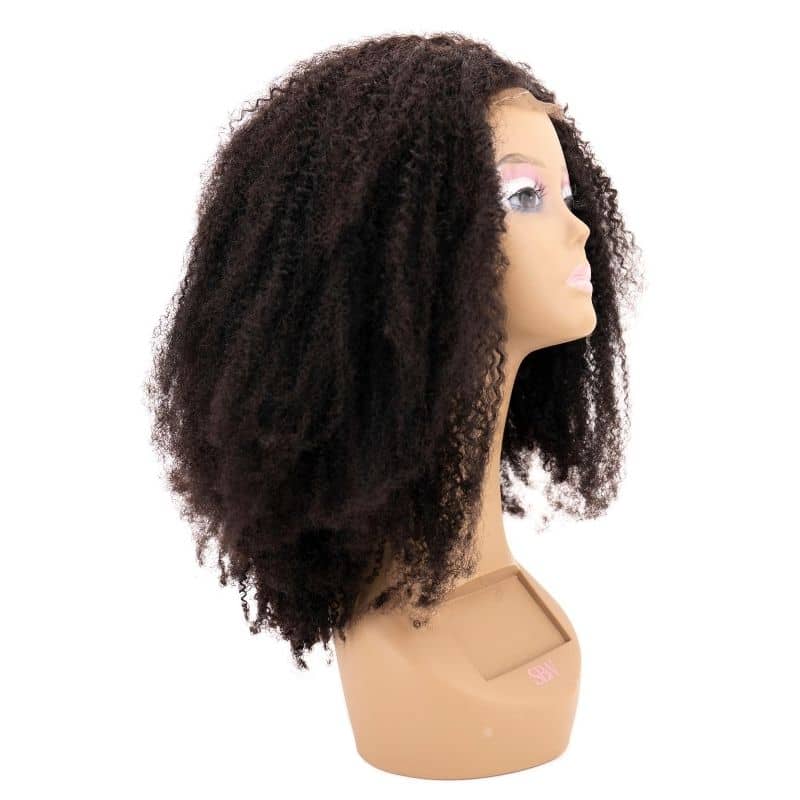 Afro Kinky Curly 4x4 Transparent Lace Closure Wig 100% Human Hair - Natural Look for Everyday Wear & Special Occasions